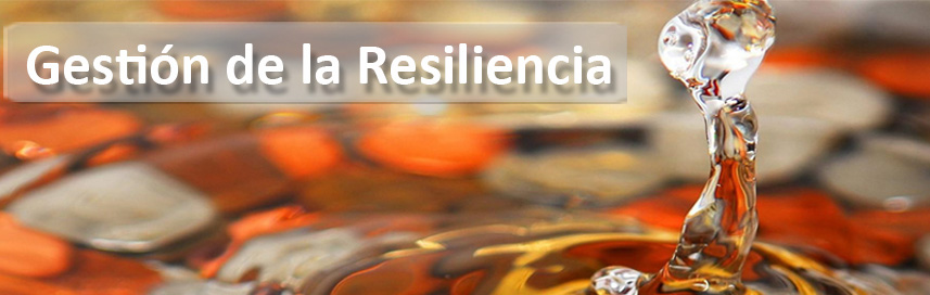 07 Gestión de la Resiliencia grande2